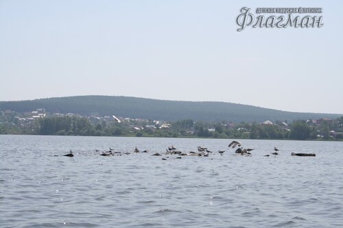 img_9684_r
